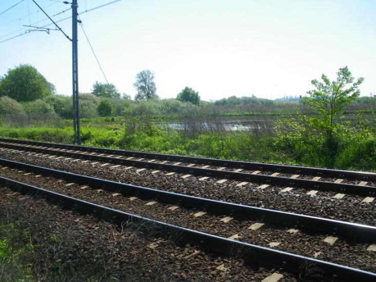 Fot. 44. Odcinek linii 274 (km 11,500, S; 30-145).
