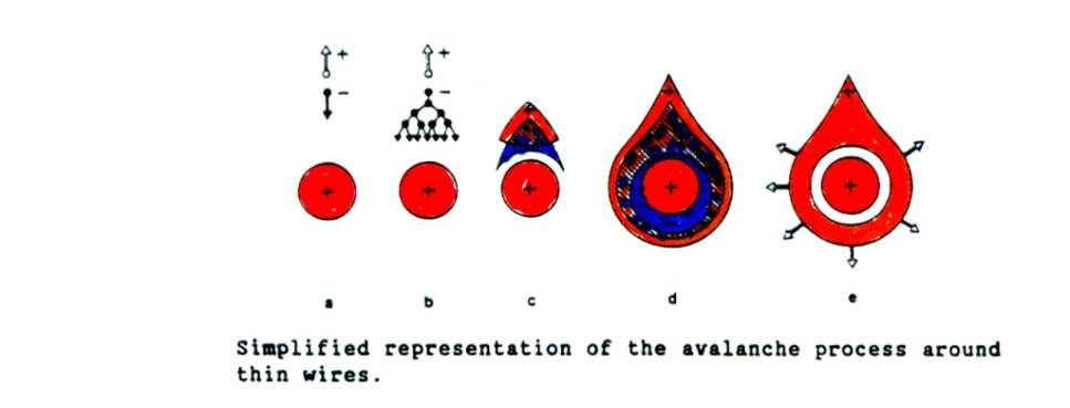 Wielodrutowe komory proporcjonalne (Georges Charpak, 1968) Poszczególne anody