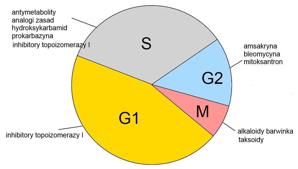 Nowotwór - Nieprawidłowa tkanka, powstająca w wyniku niekontrolowanych podziałów pojedynczej zmutowanej komórki - Mutacje w protoonkogenach (czynniki wzrostu, czynnik transkrypcyjne pobudzające