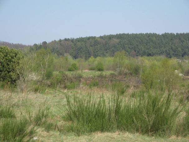 Zespół przyrodniczno-krajobrazowy Dolina Strzyży o powierzchni 375,45 ha położony w otulinie Trójmiejskiego Parku Krajobrazowego, utworzony w 2001 r.