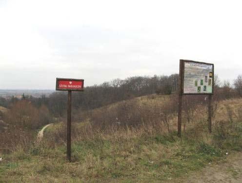 9.3.5. Użytki ekologiczne Użytek ekologiczny Fort Nocek o powierzchni 0,11 ha zlokalizowany na terenie Fortów Napoleońskich przy ul. 3 Maja, nad Dworcem PKS, utworzony w 1996 r.