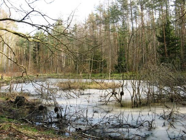 Otomiński Obszar Chronionego Krajobrazu - powierzchnia 2 072 ha, częściowo obejmujący tereny położone w Gminie Gdańsk.