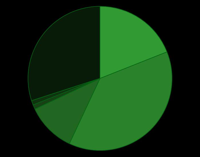 Fakta i wykresy Udział systemów operacyjnych Co miesiąc ponad 300 000 pobrań i instalacji Windows CE 30% ios 19% Najbardziej dochodowa aplikacja w Google Play, AppStore i WP Store