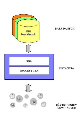 Architektura Instancja i SGA Baza danych przechowuje dane w plikach na dysku twardym i umożliwia dostęp do tych plików za pośrednictwem systemu operacyjnego.