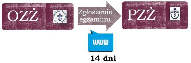 2) OZŻ zgłasza egzamin do Polskiego Związku Żeglarskiego drogą elektroniczną nie później niż 14 dni przed egzaminem.