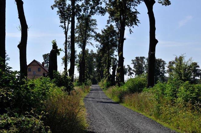 Istniejące pomniki przyrody oraz propozycje objęcia ochroną