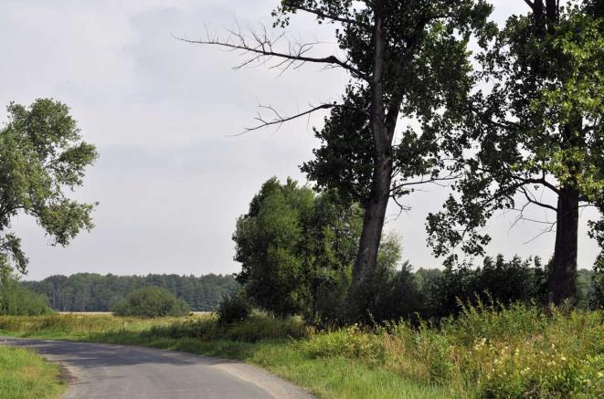 b. Istniejące pomniki przyrody