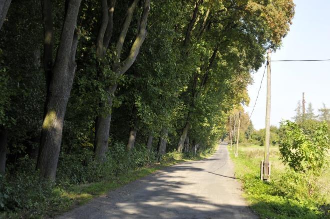 pomnikową Aleja historyczna, kompozycyjnie związana z zabudową