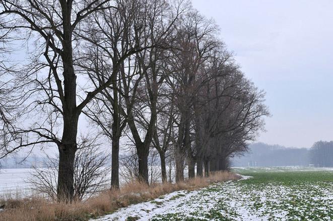 wartości krajobrazowej. 5. Zdjęcia Fot.