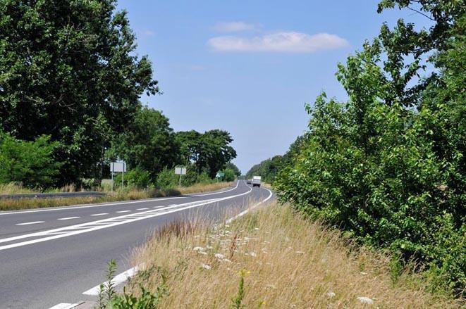 Istniejące pomniki przyrody oraz propozycje objęcia ochroną pomnikową c.