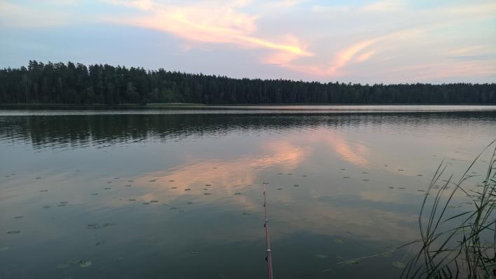 Temat ten pomógł mi zrozumieć, że dzięki pracy na programie Al-Anon wyzwoliłam się z poczucia odpowiedzialności za zachowania mojego męża. Uwolniłam się z przekonania, że muszę.