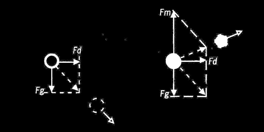 Siły działające na ziarna dia- i paramagnetyczne w polu magnetycznym dia- para- F m = V w H grad H w podatność magnetyczna właściwa V objętość ziarna F m siła magnetyczna F g siła