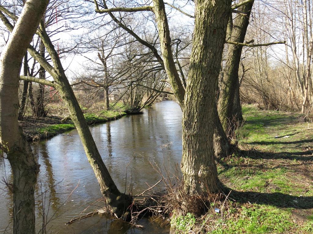 Dziękujemy serdecznie za współpracę: pani Hannie Kwaśny, pani Paulinie Staszewskiej, pani Ewie Jegierskiej oraz pani Katarzynie Piweckiej Witt i młodzieży z Gimnazjum nr 1 w Redzie pani Dorocie