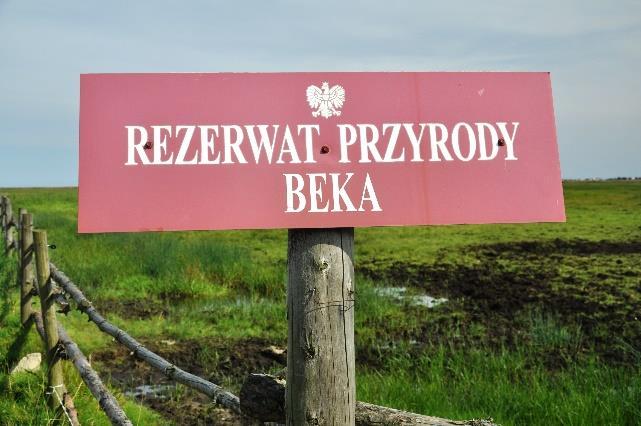 Największym naturalnym ciekiem przepływającym przez rezerwat Beka jest Reda. Rzeka biorąca swój początek na wysoczyźnie morenowej w okolicach Strzebielina Morskiego i uchodzi do Zatoki Puckiej.