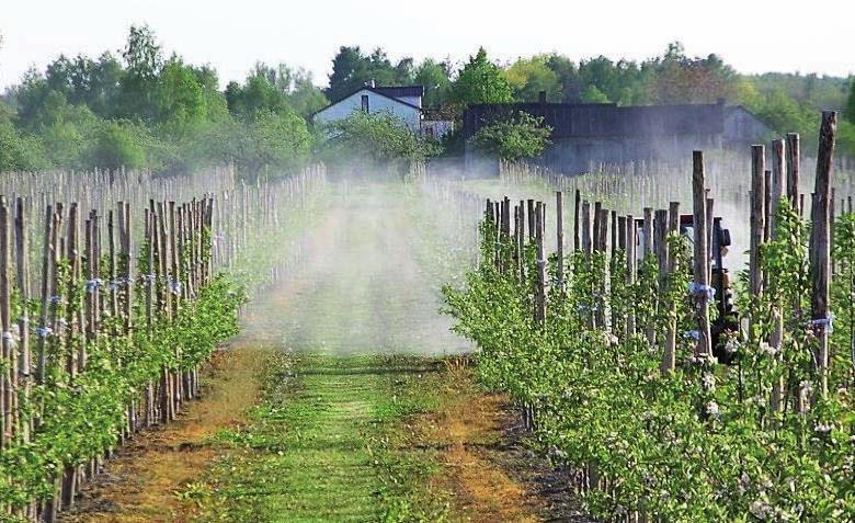 2. Negatywne skutki znoszenia Środki ochrony roślin powinny być nanoszone tylko na obiekty będące celem zabiegu, co w przypadku opryskiwania jest zadaniem trudnym do realizacji.