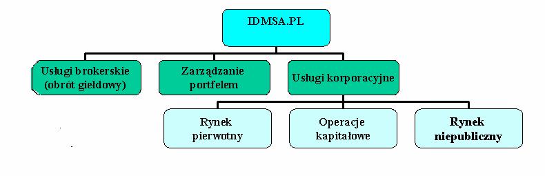 I PODSUMOWANIE I CZYNNIKI RYZYKA Podsumowanie i czynniki ryzyka Rozdział I 1.1 NAJWAŻNEJSZE INFORMACJE DOTYCZĄCE EMITENTA Firma Internetowy Dom Maklerski S. A.