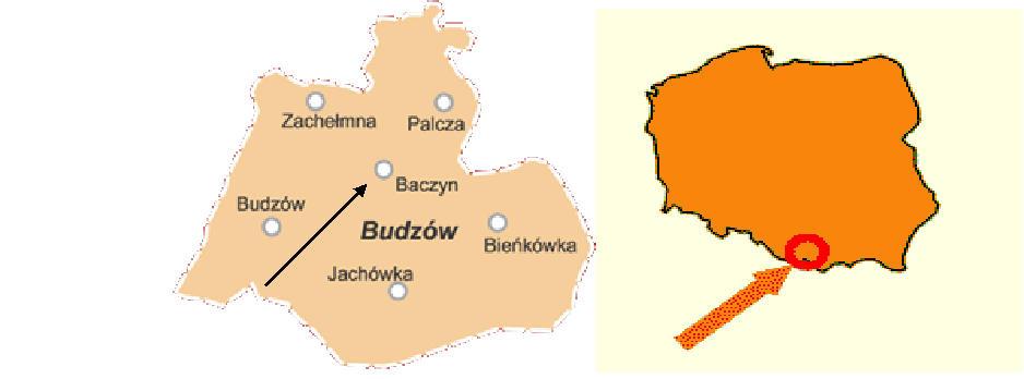 Cały obszar gminy stanowi kotlinę z najniższym punktem na zachodniej granicy na wysokości 330 m. n.p.m. Sołectwo Baczyn leży w południowo zachodniej części gminy nad potokiem Jachówki, który wpływa do rzeki Paleczki.