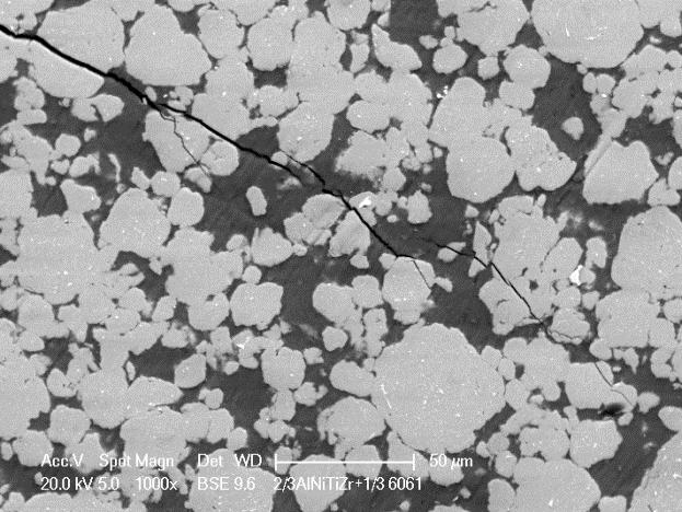 48 J. Dutkiewicz, A. Kukuła-Kurzyniec, L. Lityńska-Dobrzyńska, P. Ochin of a sample deformed in the compression test.