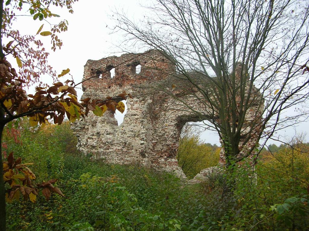 Zdjęcie nr 3: Ruiny zamku w Bochotnicy Fot.
