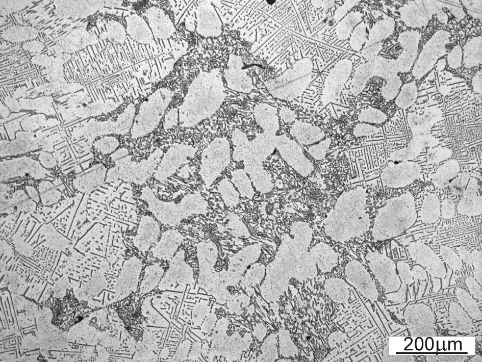 1. Microstructure of