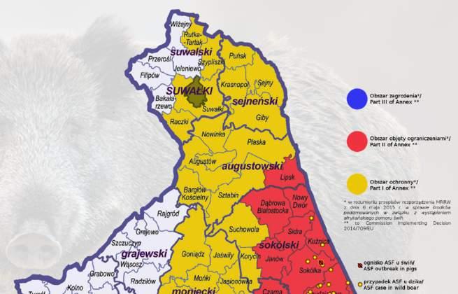 Wirus afrykańskiego pomoru świń w Polsce w latach 2014-2017 Na dzień