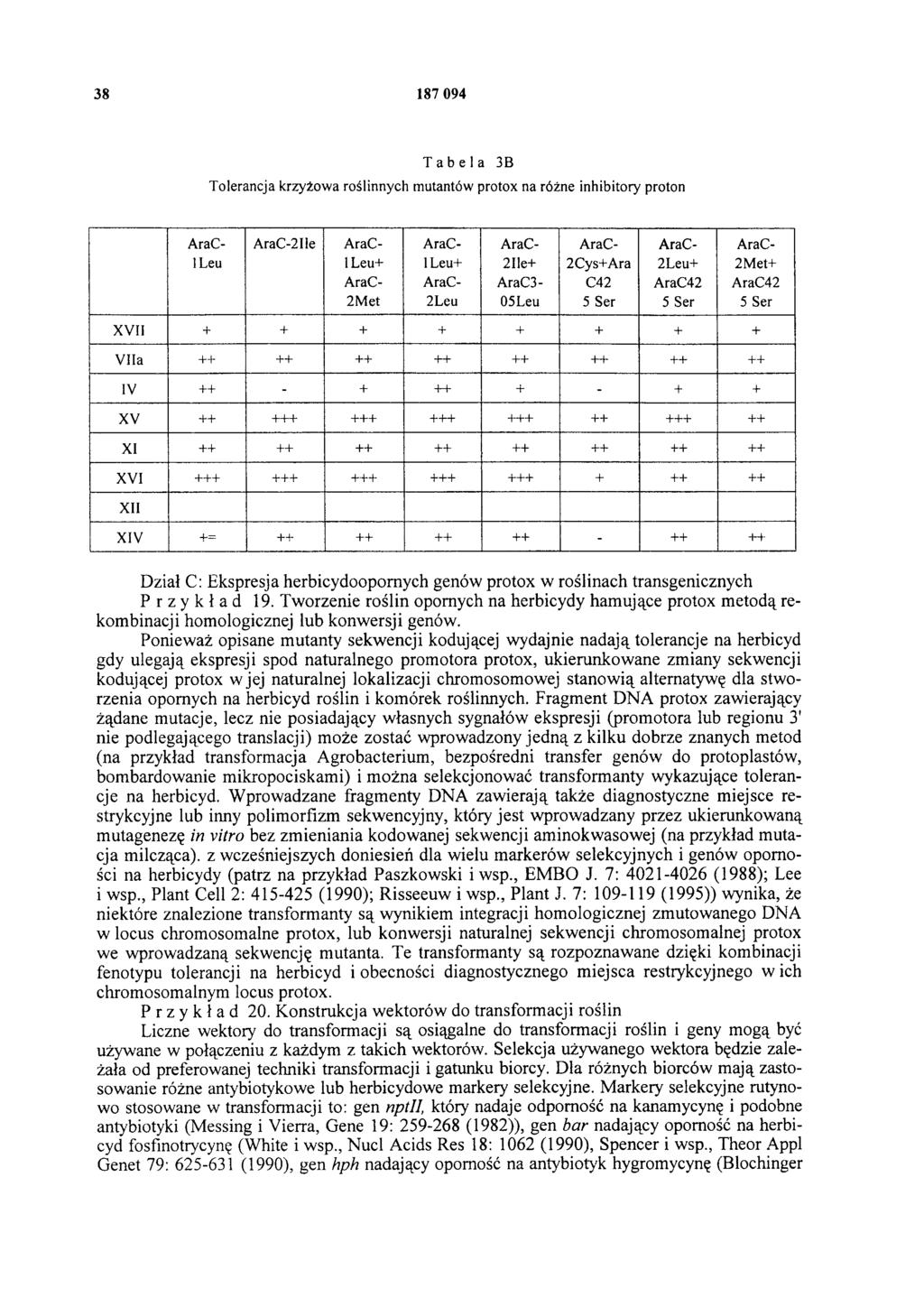 38 187 094 Tabela 3B Tolerancja krzyżowa roślinnych mutantów protox na różne inhibitory proton AraC-2Ile AraClLeu AraClLeu+ AraC- 2Met AraClLeu+ AraC- 2Leu AraC- 2Ile+ AraC3-05Leu AraC- 2Cys+Ara C42