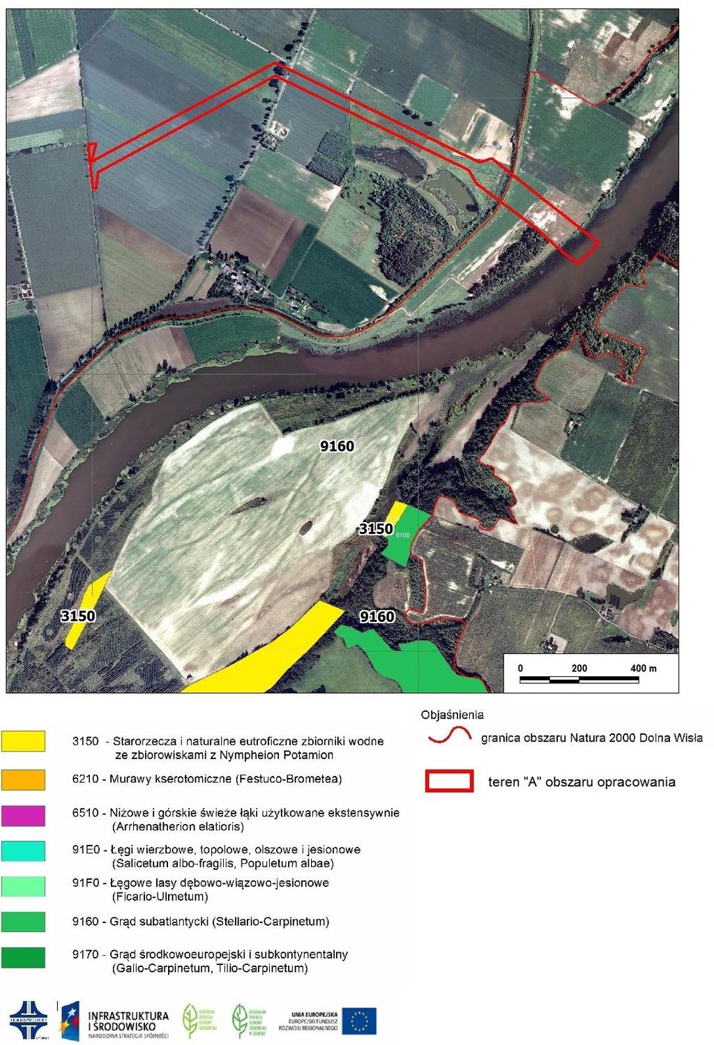 51 teren A obszaru projektu Planu Rys. 11 Źródło: Siedliska przyrodnicze obszaru Natura 2000 Dolna Wisła PLH220033 w otoczeniu obszaru projektu Planu.
