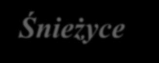 Jeżeli byłeś ubezpieczony przed gradobiciem, wykonaj zdjęcia zniszczeń, zarówno domu, jak i jego wyposażenia w celu ubiegania się o odszkodowanie.