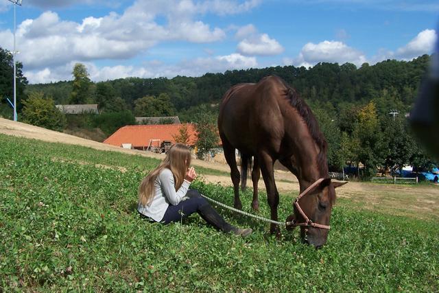 2005 Kraina Koni Obok JuraParku zostaje utworzony Ośrodek Jazdy Konnej.