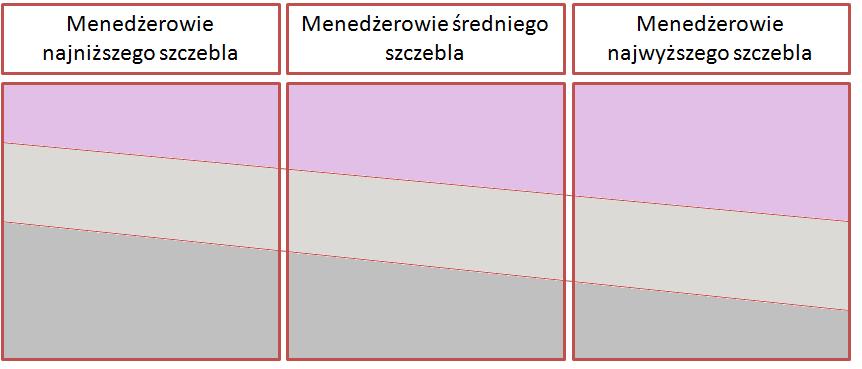 Umiejętności managera Umiejętności koncepcyjne Umiejętności