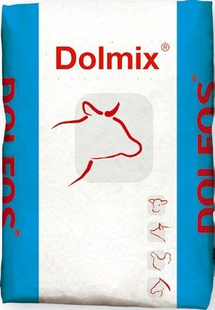 /dzień Opakowanie: kg, kg Dolmix BMp Dolmix BMp wzbogacony o substancje buforujące, dodatkowe witaminy z grupy B, zwiększoną ilość witaminy A i E, oraz kwas pantotenowy.