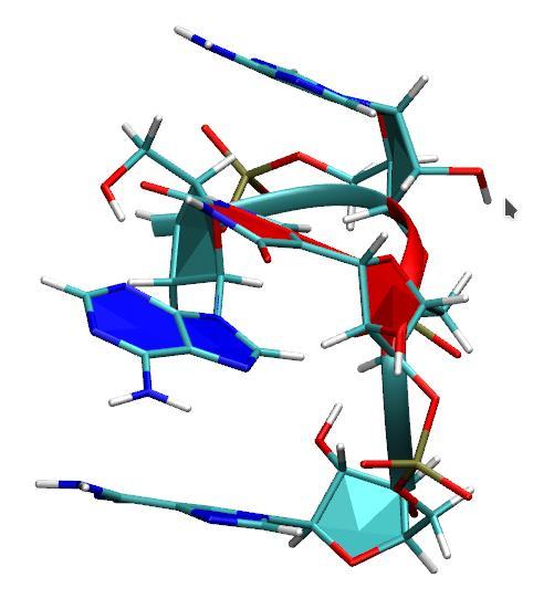 RNA tetramers AAΨA,