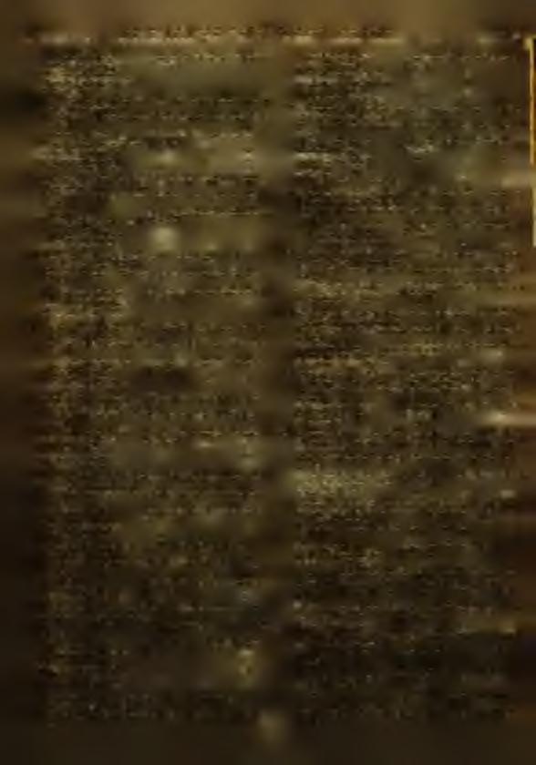 W skład K o m isji L ik w id acy jn ej w chodzą n a stę p ujące osob y : 1. D m itru k W iktor 2. A bram iuk. W łodzim ierz..,. 3. D em ian iu k A rsen i,, 4. D em ianiuk J a n 5.