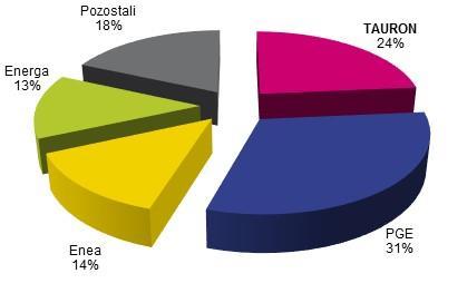 11%, co daje Grupie Kapitałowej TAURON drugą pozycję w Polsce. Aktywa wytwórcze Grupy Kapitałowej TAURON skoncentrowane są w południowej Polsce.