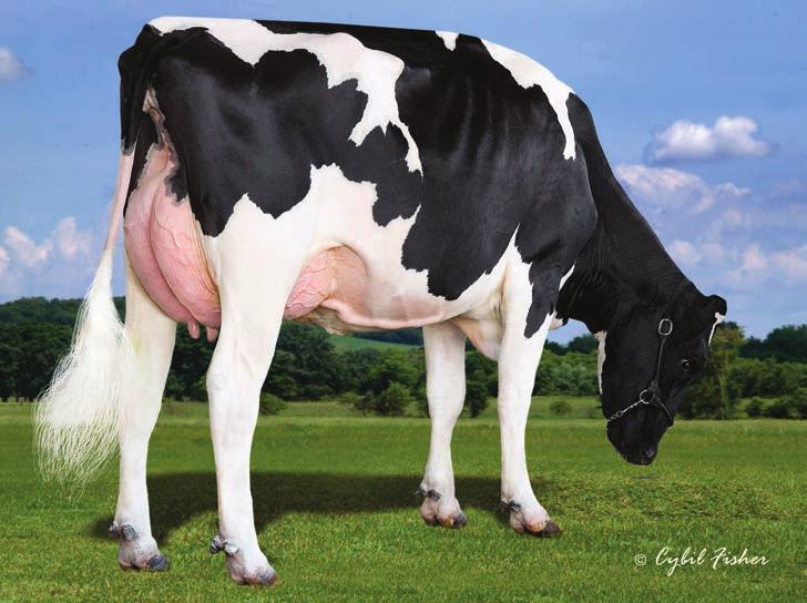 1% 56 kgb MM: S-S-I BOOKEM MODESTO7269-ET VG-87 3-3 3X 364D 13,444 kgm 3.7% 494 kgt 3.