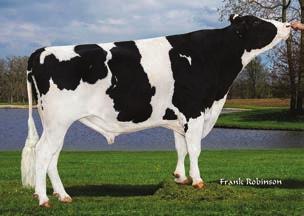 82 % Indeks płodności buhaja.6 88 % BB 7HO1178 De-Su Rookie 1157-ET *TR*TV*TL*TY*TD Bookem x Bronco x Shottle HBN: HOUSA762589 