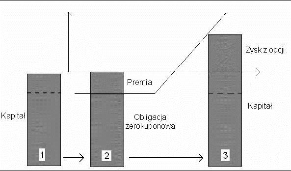 Budowa produktu