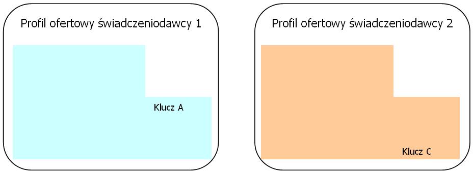 Podwykonawca tworzy profil podwykonawstwa, który zawiera komórki organizacyjne mające świadczyć usługi w ramach umowy podwykonawstwa. 3.