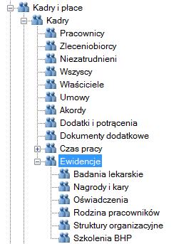 Kadry / Ewidencje Wersja platynowa programu zawiera dodatkowy folder o nazwie Ewidencje.