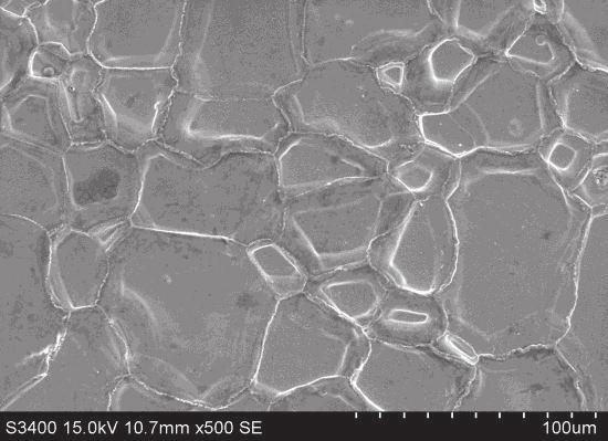 a, b) Table. Chemical composition on the cross-section and surface of heat treated platinum ( μm thick ) after aluminizing process at the 5 C for 8 h on Inconel LC Ni-base superalloy (Fig.