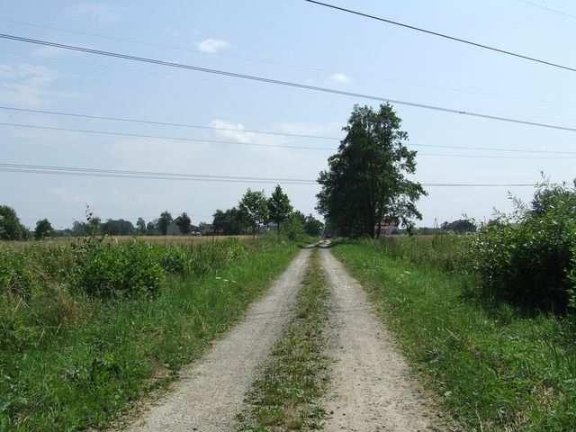 2009 Remont nawierzchni drogi dojazdowej do gruntów rolnych w miejscowości Ruda - 260 mb Koszt