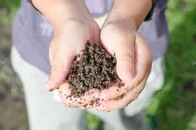 Żyzność gleby Racjonalne użyźnianie gleby nie powinno polegać na odżywianiu roślin, ale
