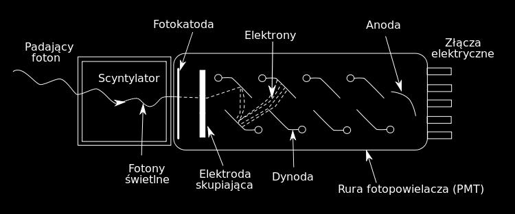 dynodę wywołuje emisję wtórną kilku do kilkunastu elektronów.