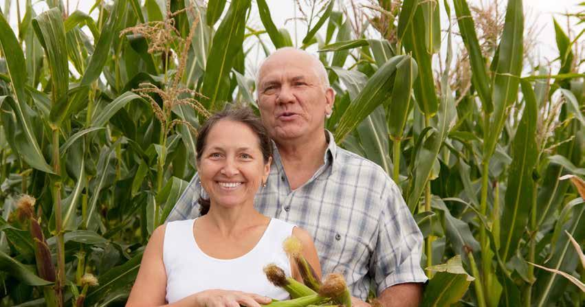 PODSTAWY NASZEGO KODEKSU POSTĘPOWANIA I ETYKI DLA DOSTAWCÓW Podstawą Kodeksu Postępowania i Etyki dla Dostawców jest Przyrzeczenie Monsanto.