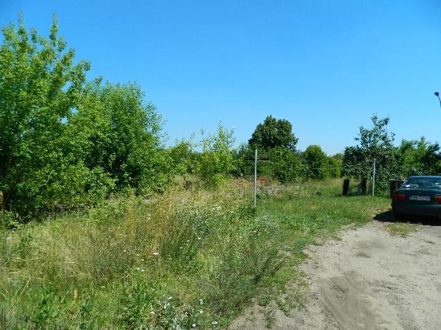 Modernizacja budynku świetlicy wiejskiej w Krzekotowie ma głównie obejmować wymianę elektryczności oraz montaż klimatyzacji.