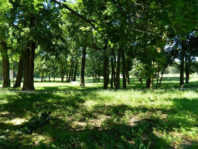 budynek wielorodzinny. Park przypałacowy w Borku również jest wpisany do rejestru Narodowego Instytutu Dziedzictwa.