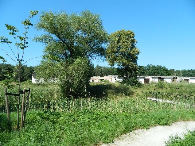 Budynek zlokalizowany jest w centrum wsi w jej reprezentacyjnym miejscu, przy drodze powiatowej.