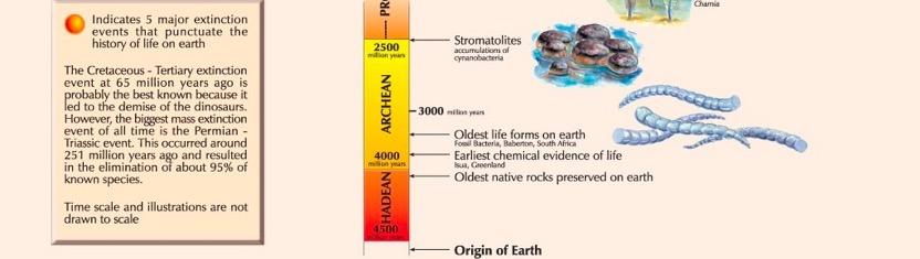 Gdyby Ziemia istniała 1 rok 1. I powstaje Ziemia 25 II pierwsze formy życia?