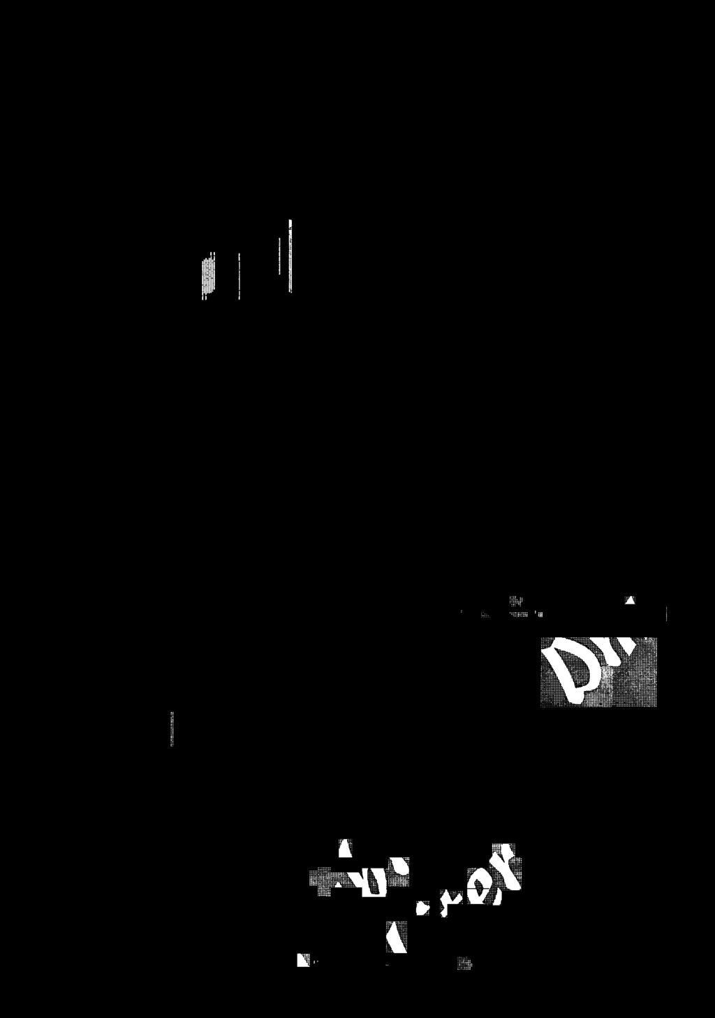 XXV