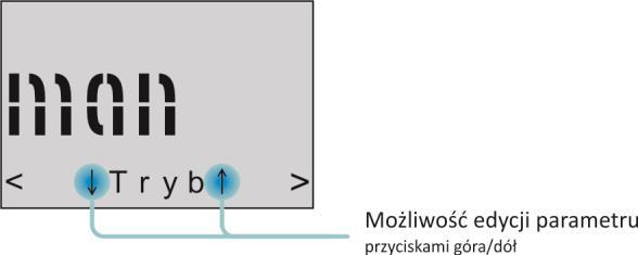 Ekran menu uproszczonego 4 [Tryb] {MANUAL, MAX, 1d, 2d+5d